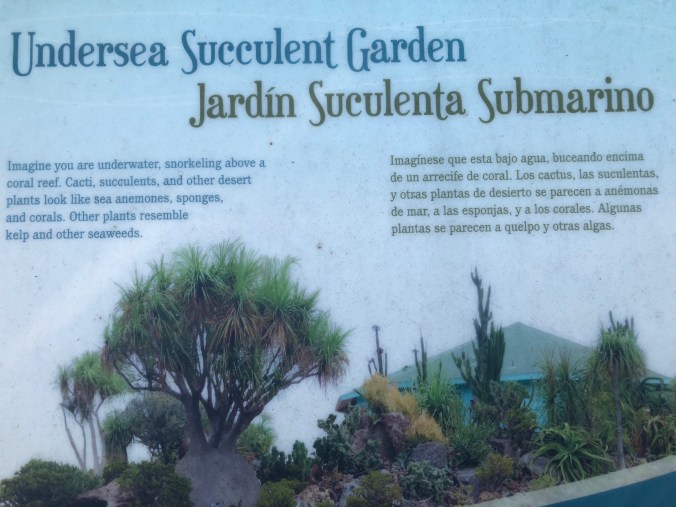 Undersea Succulent Garden