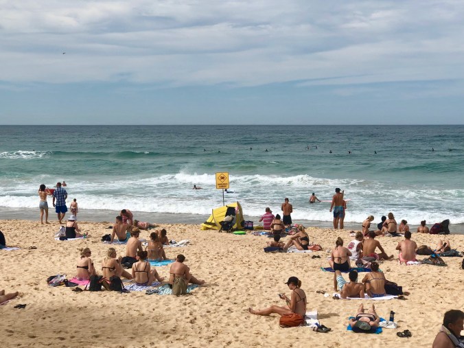 Manly beach