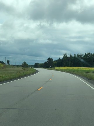 Gray Eagle road